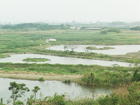 關渡自然保護公園