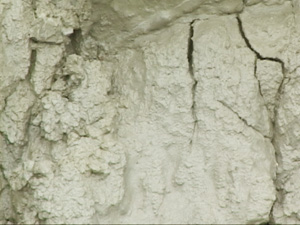 泥岩化育的土壤
