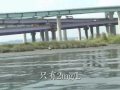 讓烏魚上溯淡水河