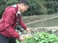 宜蘭生態之美